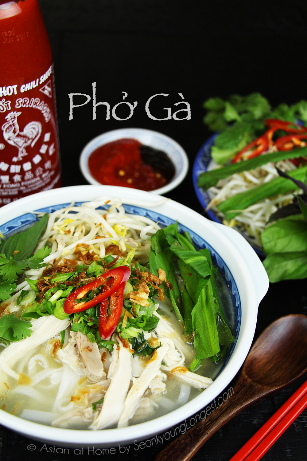 Chicken Pho Recipe & Video (Phở Gà) - Seonkyoung Longest